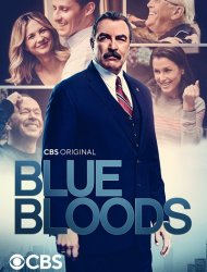 Blue Bloods 6 episode 8