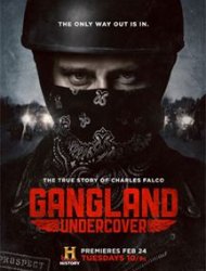 Gangland Undercover